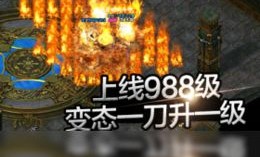 在蛋总传奇私服中准备持续押送物品的无损运输？