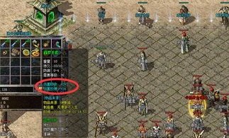 圣火传奇私服：一款不一般的游戏感受