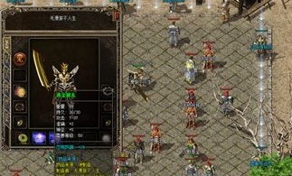 疆内传奇私服：为玩家到达提供经典传奇游戏查对