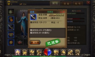新剑域传奇私服中，后期这个职业最最普遍！