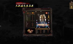 天佑传奇私服版本有多种选择？