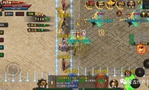 传奇屠龙1.76中，后期这个职业最喜人！