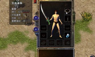 (王者传奇私服攻略)王者传奇私服告诉你布置药品保护自动吃药