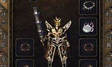 在龙信传奇私服中如何维护拦截物品的无损运输？