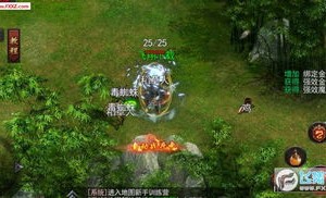 雪鹰传奇私服：无尽的冒险与无尽的资产