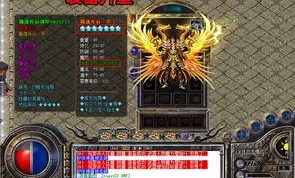 英雄合击sf_探寻职业搭配与战斗策略的奥秘(英雄合击sf新开_从职业角度揭秘游戏中的战斗策略)