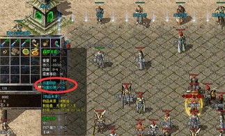 在新开传世网站中决心保证护送物品的无损运输？