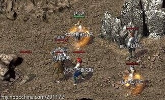 leg传奇私服邀你一起研讨(leg传奇私服攻略详解)