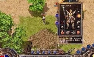 降龙传奇私服新手最火练级地图是哪个？