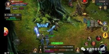 天王传奇手游的不一样和优点分别在哪里 传奇手游服务端 第2张 天王传奇手游的不一样和优点分别在哪里 传奇手游服务端 第2张