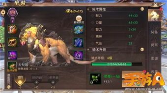 传奇手游bt版装备要怎么强化？决定方式装备  传奇手游sf 第1张