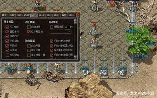 防御攻略_1.76公益传奇游戏深度解析，助你战无不胜！(精炼1  传奇私服1.76金币版 第1张