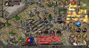 185传奇3D版_如何成为最酷的宠物(185传奇3D版_如何成为一名勇猛无敌的猛将？)  英雄合击1.85合击手游 第1张