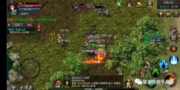 传奇私服176的竞技玩法怎么玩 sf传奇网站 第2张 传奇私服176的竞技玩法怎么玩 sf传奇网站 第2张