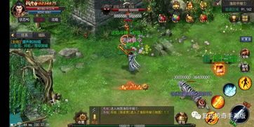 古墓版传奇私服杀怪称号为什么难得到  新开传奇sf 第1张