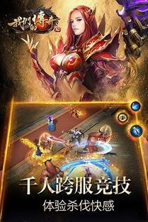 传奇迷失私服将来光芒四大战士你都知道一下吗  新传奇私服网 第1张